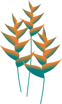 heliconia graphic